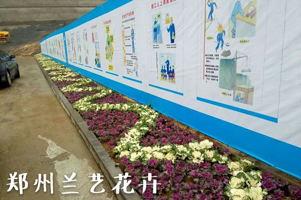 郑州房地产草花销售