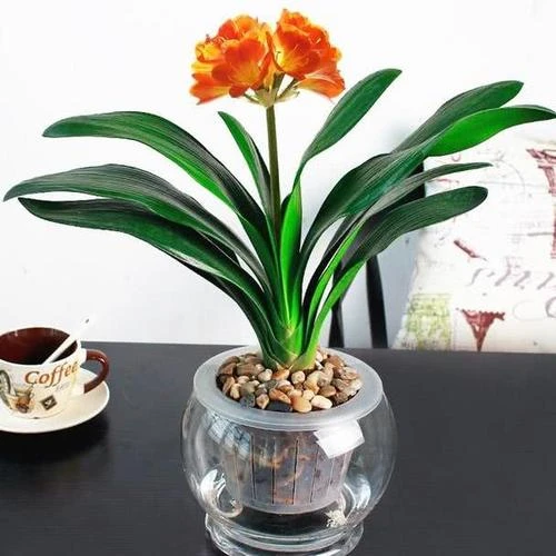 1-200RP92910U1.jpg 1-200RP92910U1.jpg