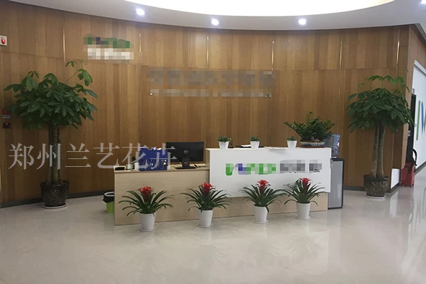 1-20031Q53H95Z.jpg 1-20031Q53H95Z.jpg