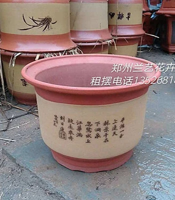 郑州花卉租赁（花盆）