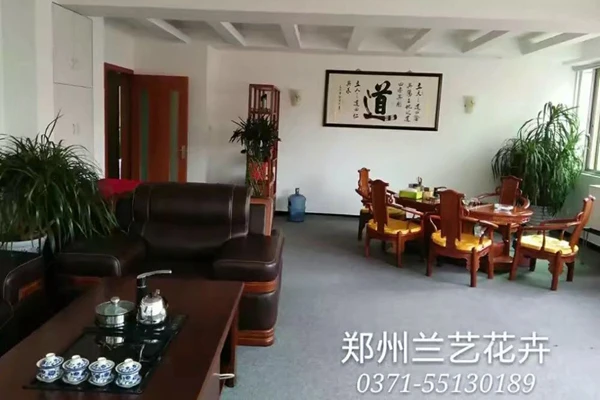 办公室花卉租赁