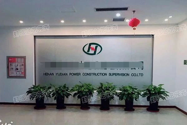 公司前台植物租摆