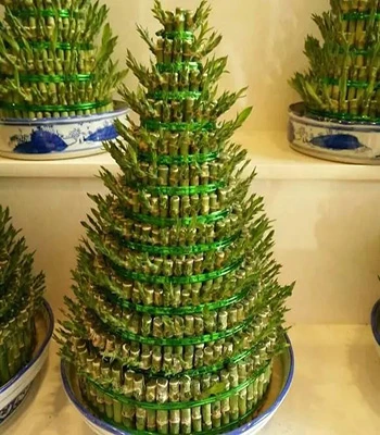 微信图片_20221018111914.jpg 微信图片_20221018111914.jpg