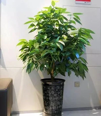 微信图片_20221018111931.jpg 微信图片_20221018111931.jpg