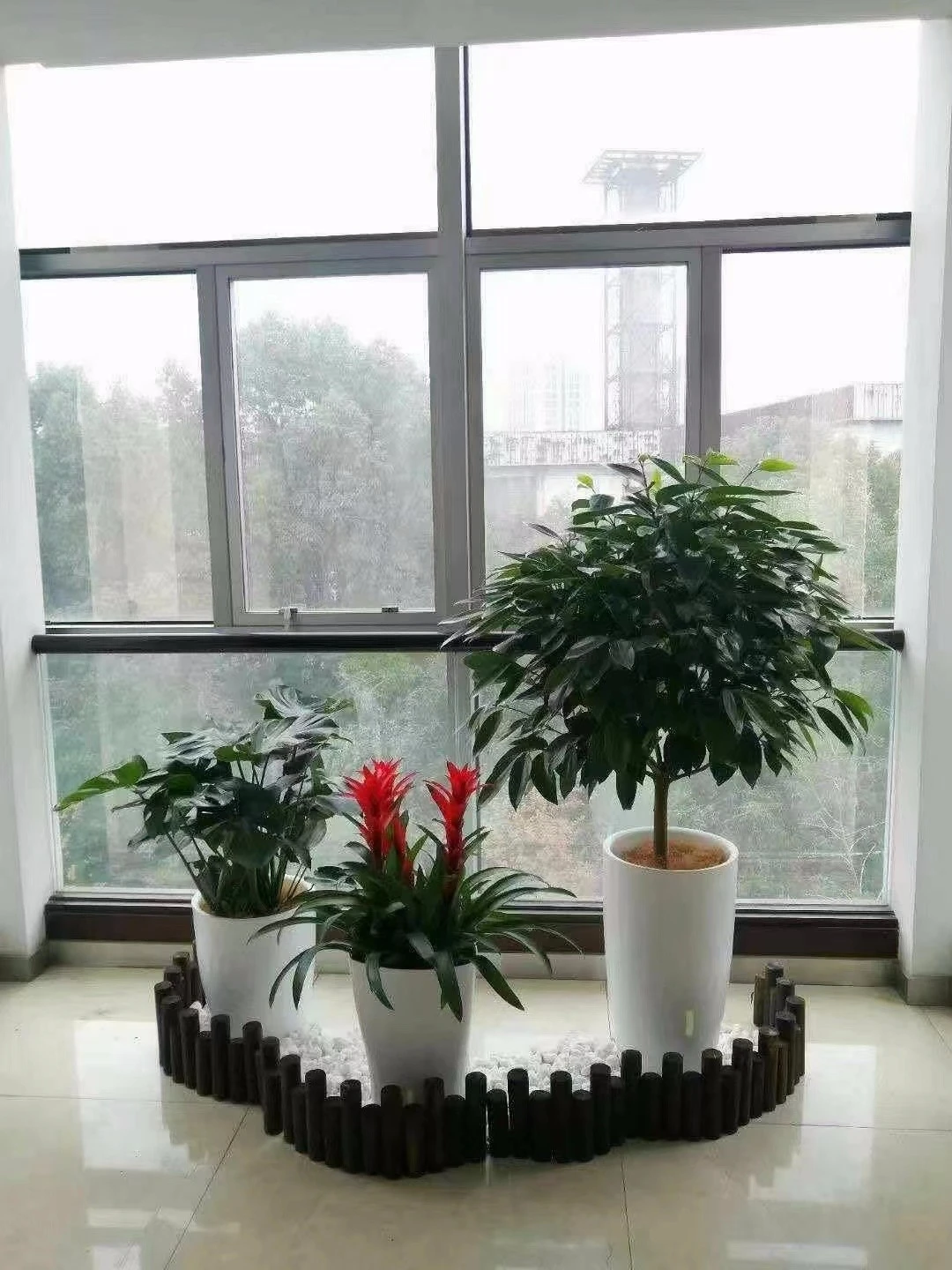 微信图片_20221128132430.jpg 微信图片_20221128132430.jpg