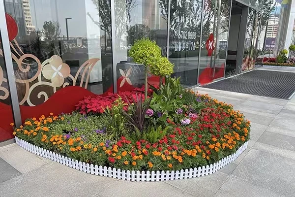 郑州时令花卉租售