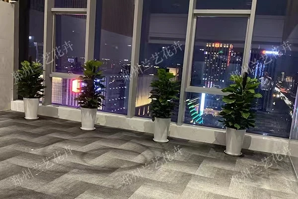 郑州写字楼租绿植