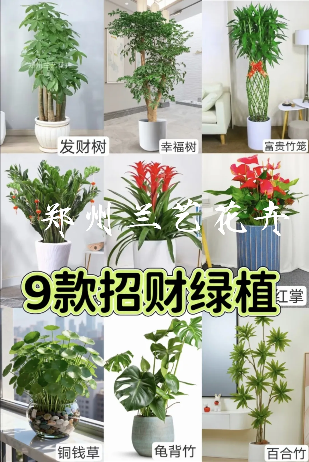 微信图片_20251031103449_2_137.jpg 微信图片_20251031103449_2_137.jpg