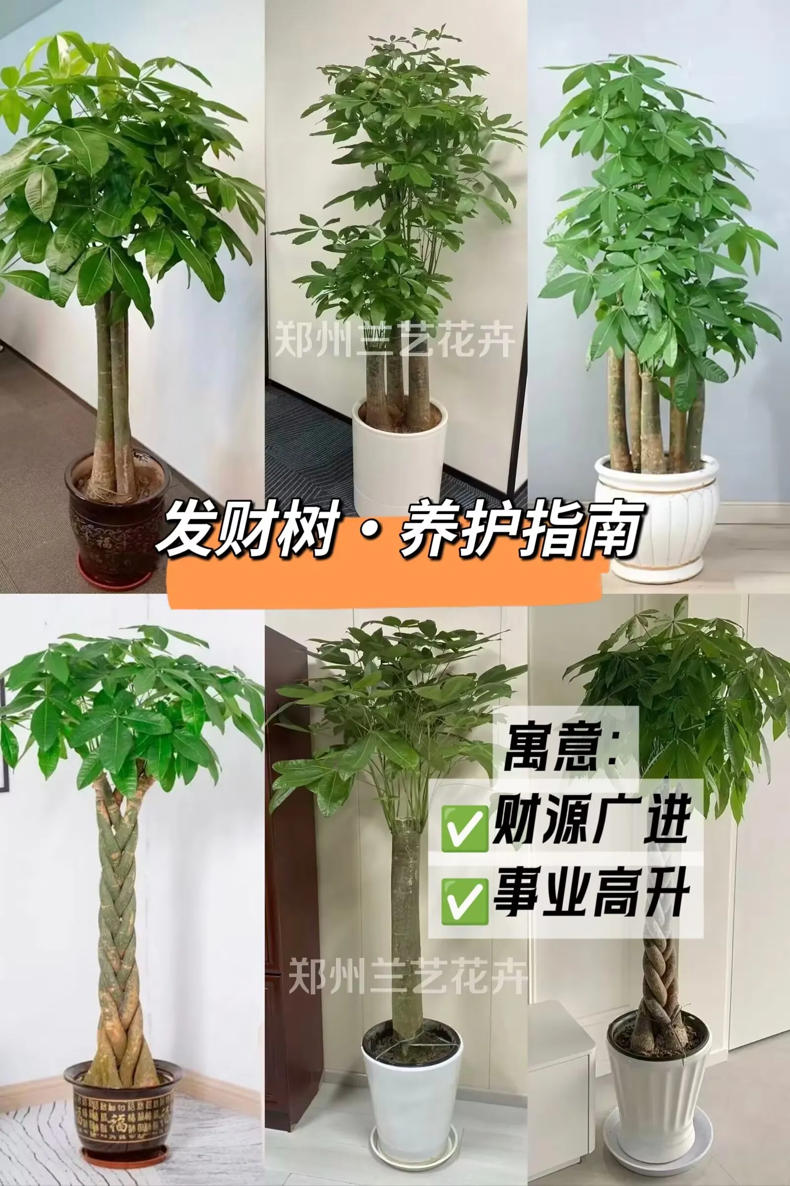 微信图片_20251105222338_9_137.jpg 微信图片_20251105222338_9_137.jpg