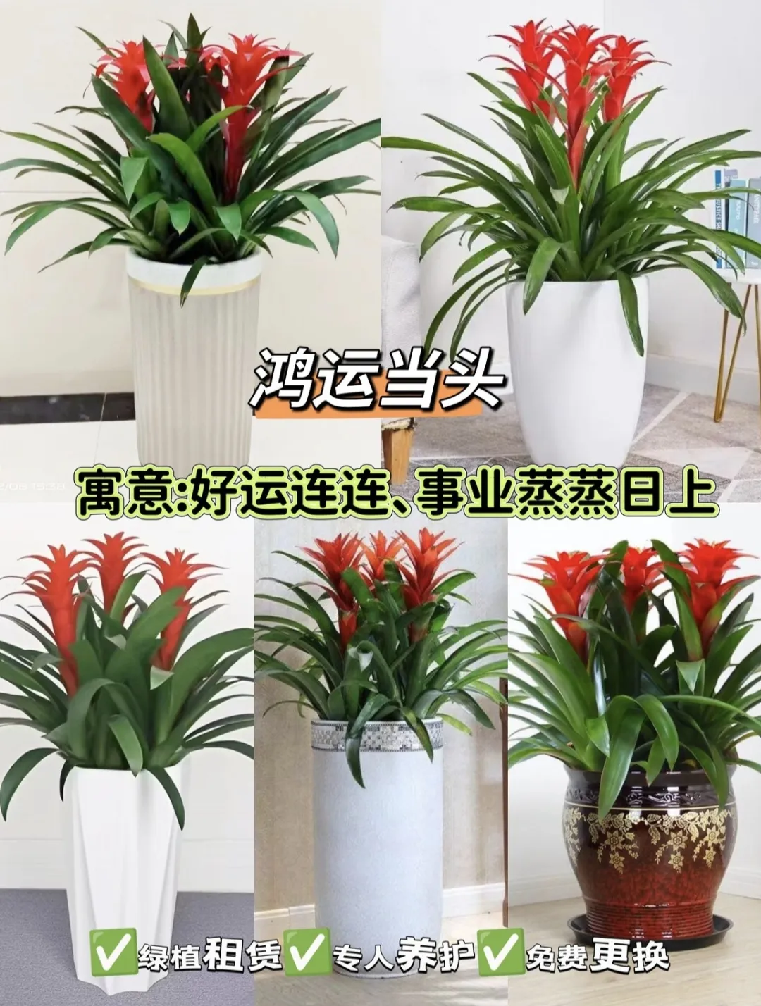 微信图片_20251111223931_18_137.jpg 微信图片_20251111223931_18_137.jpg